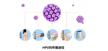 微信截图_20241009094403.png 微信截图_20241009094403.png