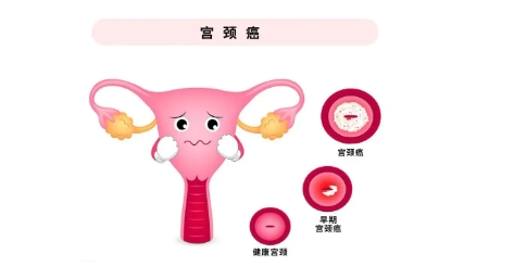 微信截图_20241009094819.png 微信截图_20241009094819.png