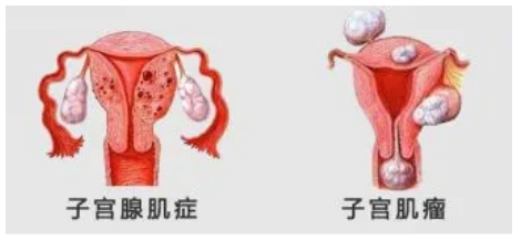 微信截图_20241106103306.png