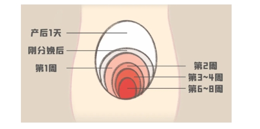 微信截图_20241227163346.png