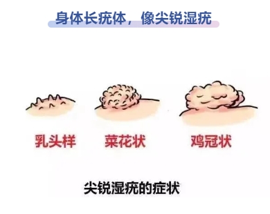 微信截图_20250103092443.png