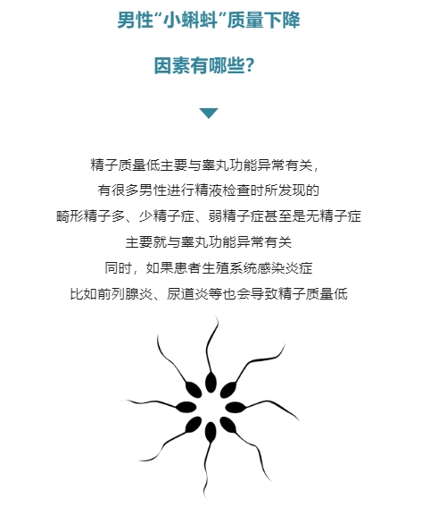 微信截图_20250217094420.png