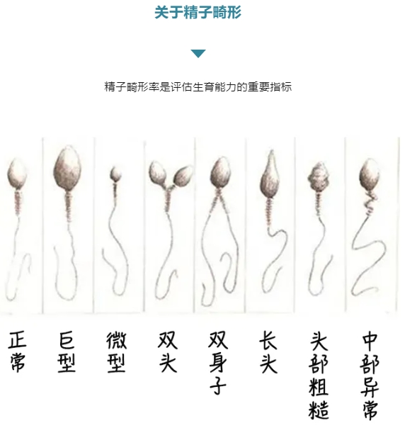 微信截图_20250217094449.png